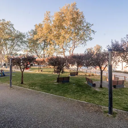 Sao Pedro São João da Pesqueira