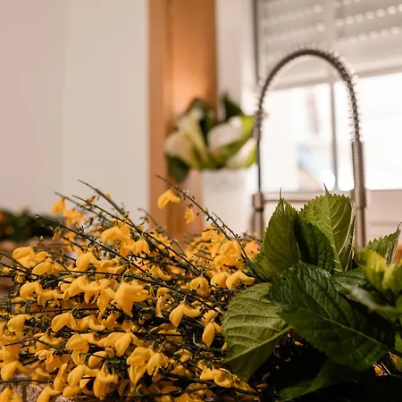 Dom wakacyjny Sao Pedro *